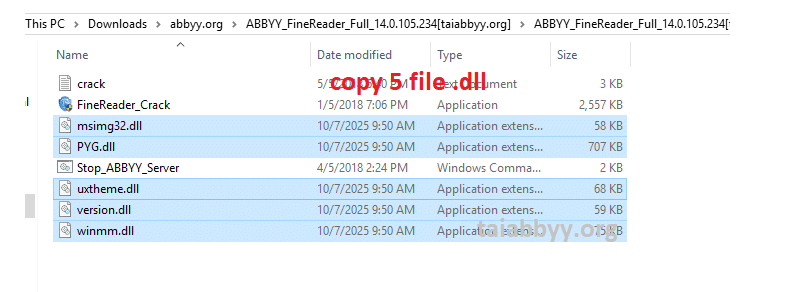 copy đúng 5 file